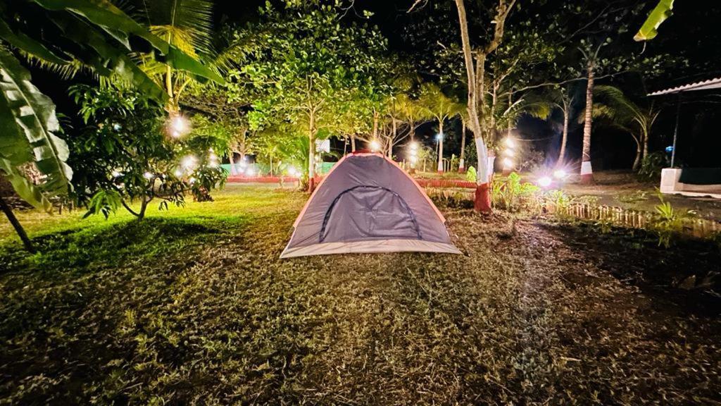 Stay On The Way Resort Mandwa อลีบาก ภายนอก รูปภาพ